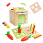 Wooden Fruit Matching Montessori Toys Educational Box for Kids