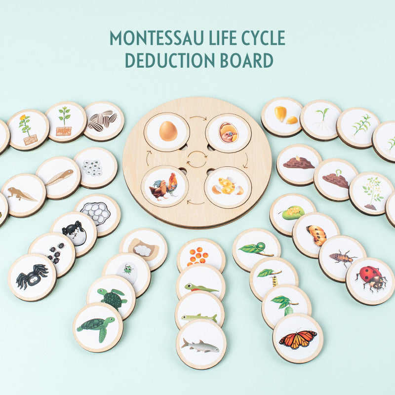 Wooden Animal and Plant Life Cycle Puzzle Educational Toy 2