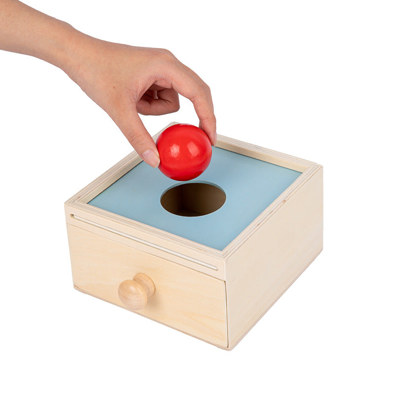 Wooden Montessori Toys Pulling Carrots Discs Educational Toy 4