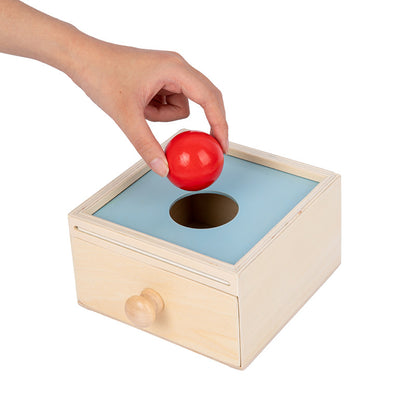 Wooden Montessori Toys Pulling Carrots Discs Educational Toy 4
