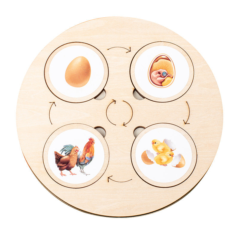 Wooden Animal and Plant Life Cycle Puzzle Educational Toy