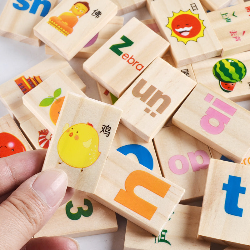 Wooden Montessori Toys Knowledge Classification Box for Kids 3