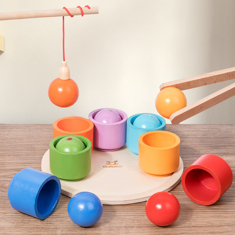 Wooden Magnetic Color Classification Montessori Toys
