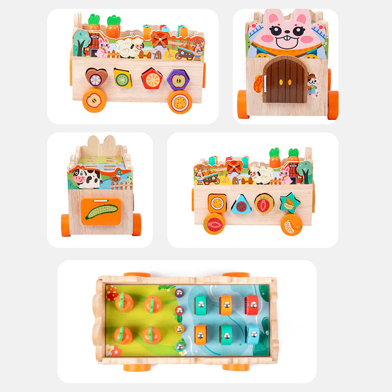 Wooden Shape Fruit Pairing Montessori Toys for Toddlers 3