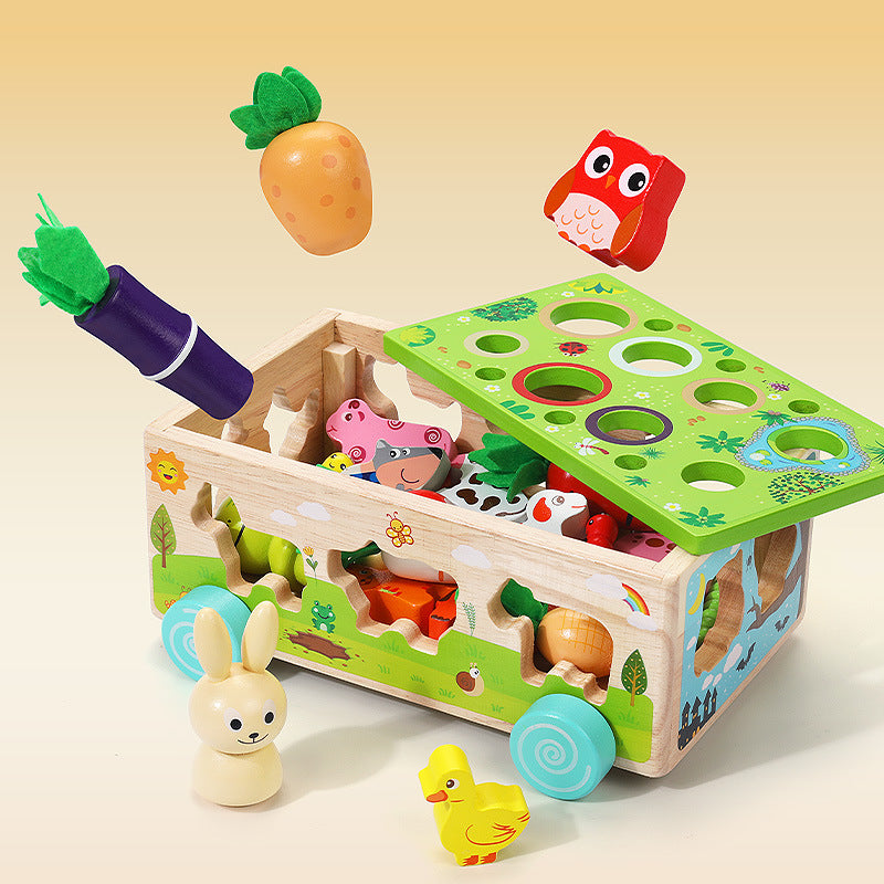 Wooden Farm Orchard Shape Matching Montessori Toys for Toddlers 10