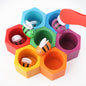 Wooden Montessori Toys Bee Color Matching for Kids