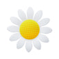 20pcs Silicone Focal Beads Sunflower Flat Design with Center Detail 4
