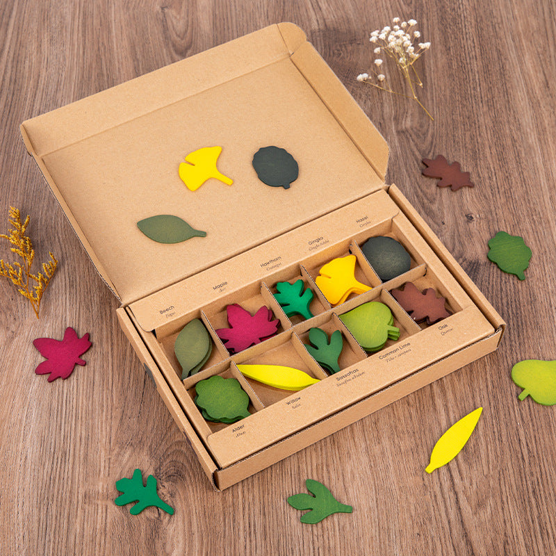 Wooden Leaves Matching Montessori Toys Educational Toy Set 4