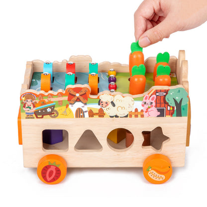 Wooden Shape Fruit Pairing Montessori Toys for Toddlers 2