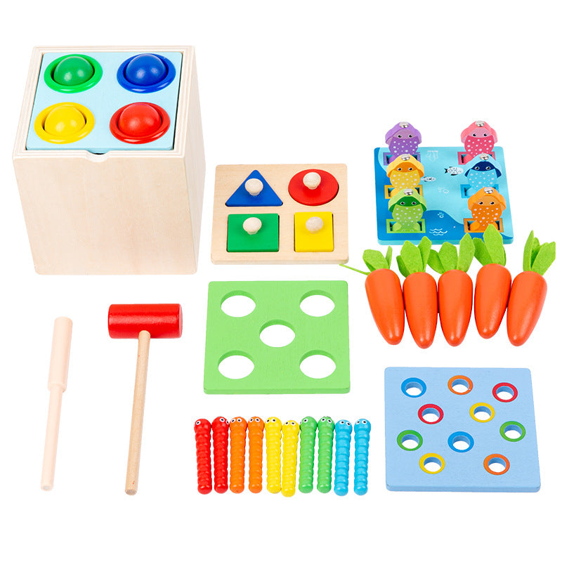 Wooden Montessori Toys Educational Sorting and Fishing Plate