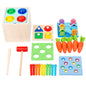 Wooden Montessori Toys Educational Sorting and Fishing Plate