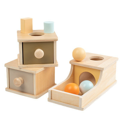 Wooden Montessori Toys Ball Dropping Sorting Educational Toy