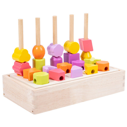 Wooden Montessori Toys Color Matching Sorting Toy for Toddlers 6