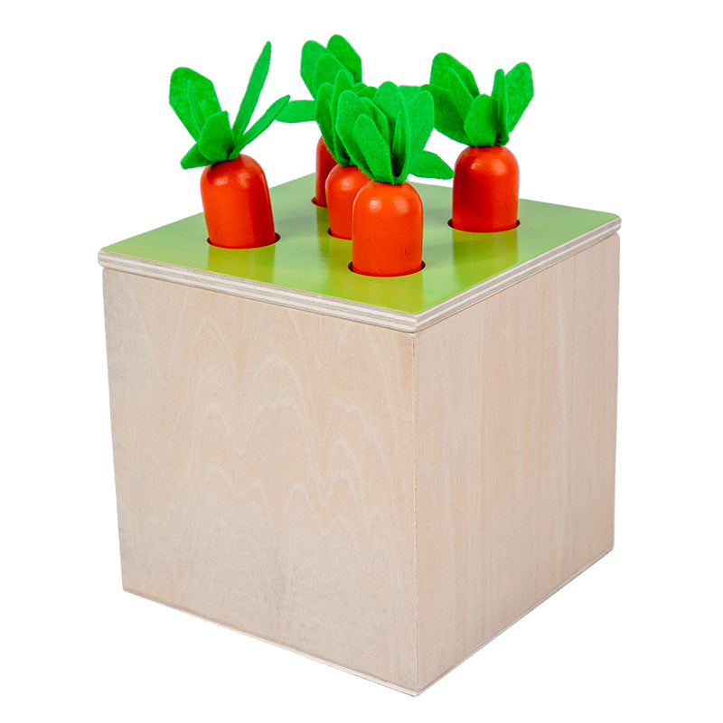 Wooden Montessori Toys Multifunctional Intelligence Box for Kids 3