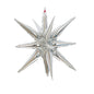 Explosion Star Foil Balloons Party Decoration 22/27 Inch 20pcs 2