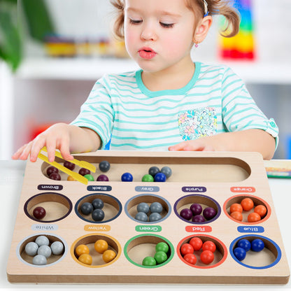 Wooden Montessori Toys Color Classification Sorting Board for Kids 3