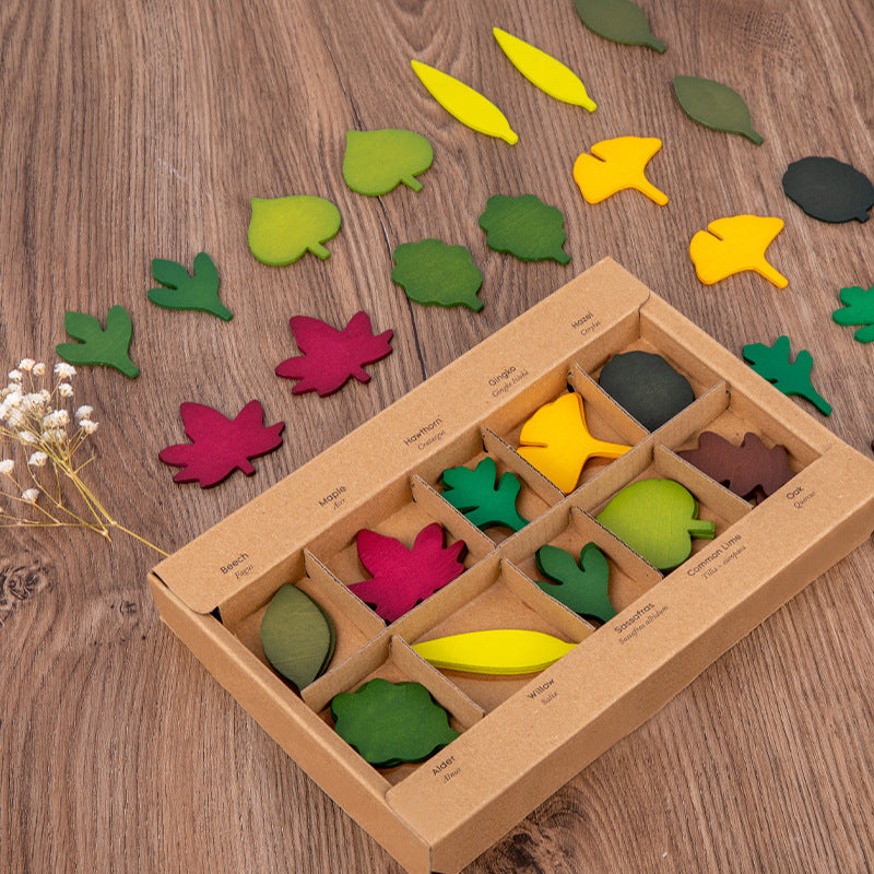 Wooden Leaves Matching Montessori Toys Educational Toy Set 3