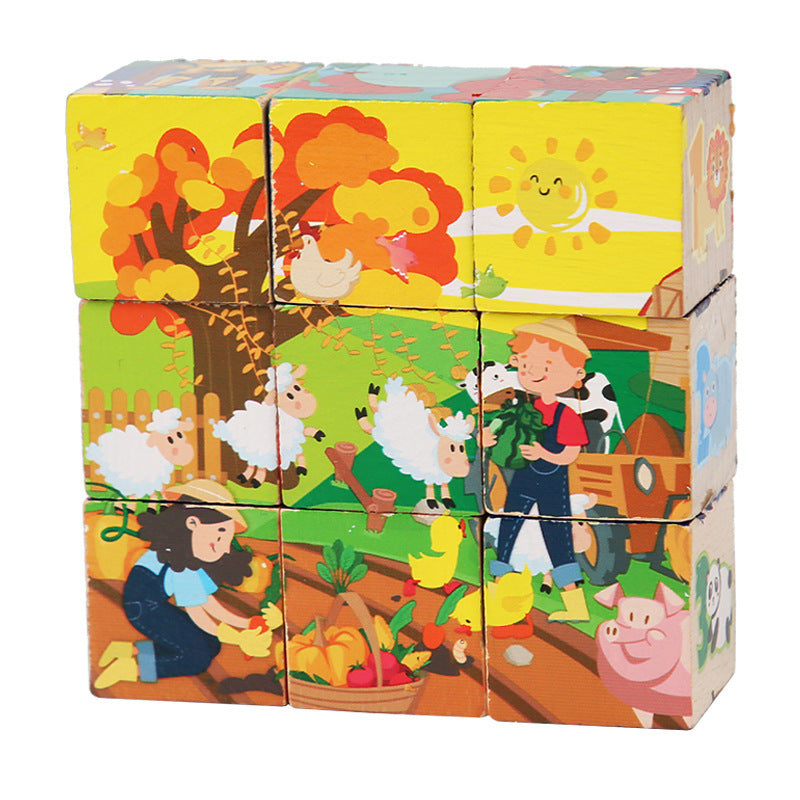 Wooden Montessori Toys Shape Sorting Stacking Educational Toy 3