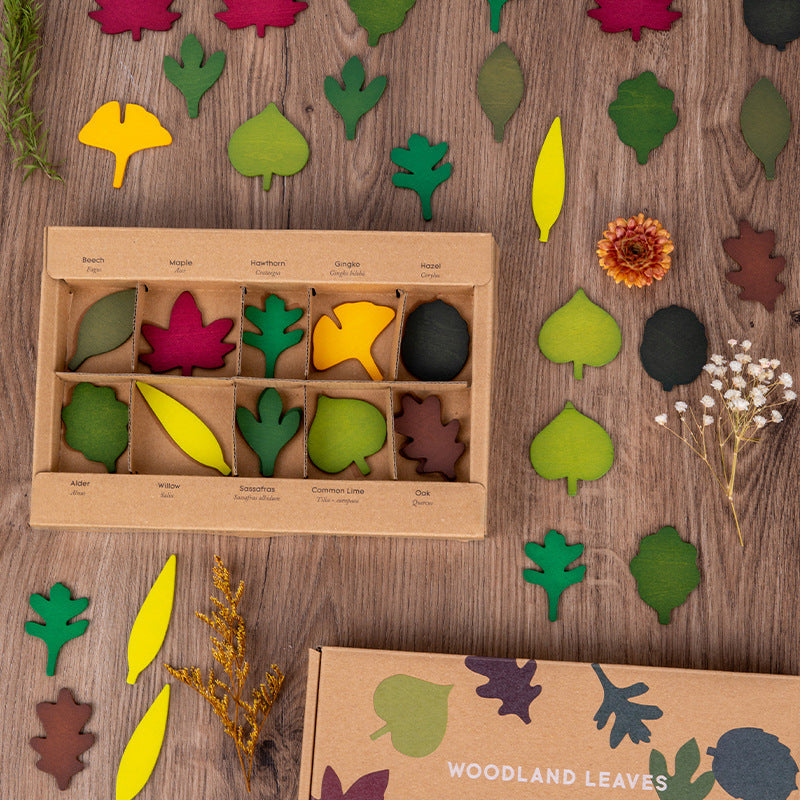 Wooden Leaves Matching Montessori Toys Educational Toy Set 5