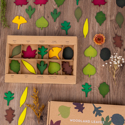Wooden Leaves Matching Montessori Toys Educational Toy Set 5