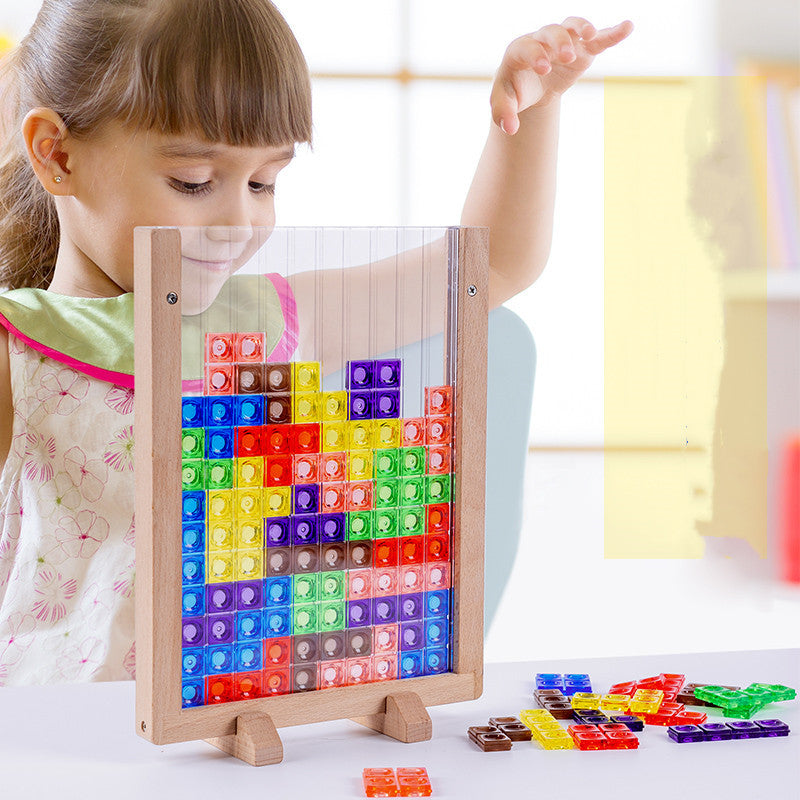 Wooden Montessori Toys 3D Block Puzzle Educational Toy 25cm