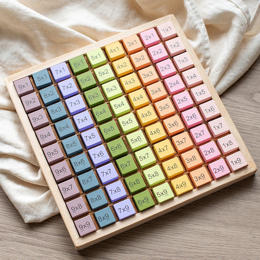 Wooden Counting Hundreds Plates Montessori Toys Educational Toy