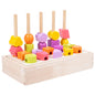 Wooden Montessori Toys Color Matching Sorting Toy for Toddlers