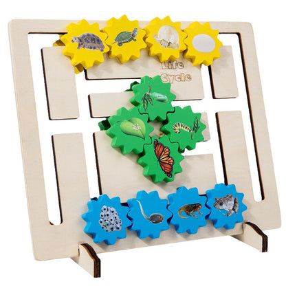 Wooden Life Cycle Evolution Gear Montessori Toys Educational