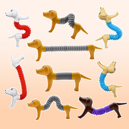 Stretch Transformable Pop Tubes Sensory Fidget Toy Spring Dog 5