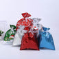 Christmas Gift Bag Drawstring Plastic Candy Bags Pack A to I 9