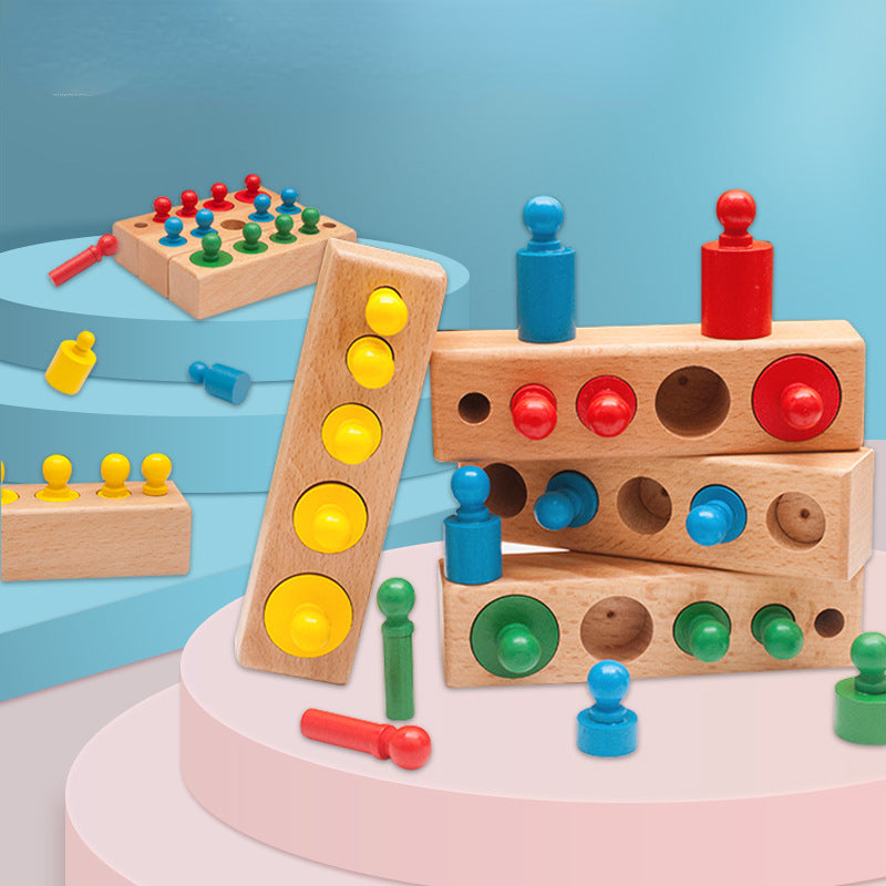 Wooden Montessori Toys Color Cognitive Socket Cylinder for Toddlers 5