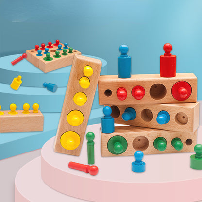 Wooden Montessori Toys Color Cognitive Socket Cylinder for Toddlers 5