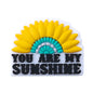 20pcs Silicone Focal Beads Daisy Variety Set You Are My Sunshine Text 3