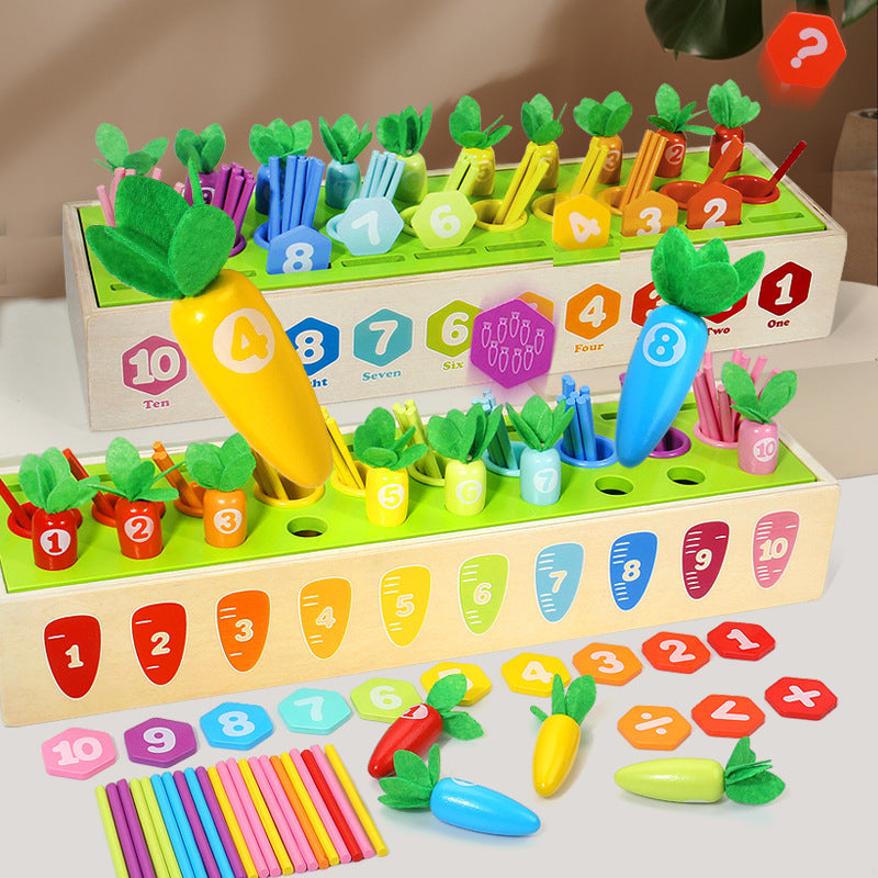 Wooden Coin Box Montessori Toys Educational Fine Motor Skills 2
