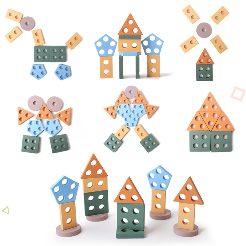 Wooden Shape Pairing Montessori Toys Fine Motor Skills Activity 2