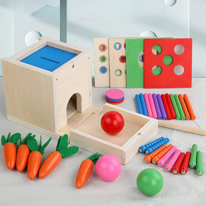 Wooden Montessori Toys Paired Color Blocks Educational Set 3