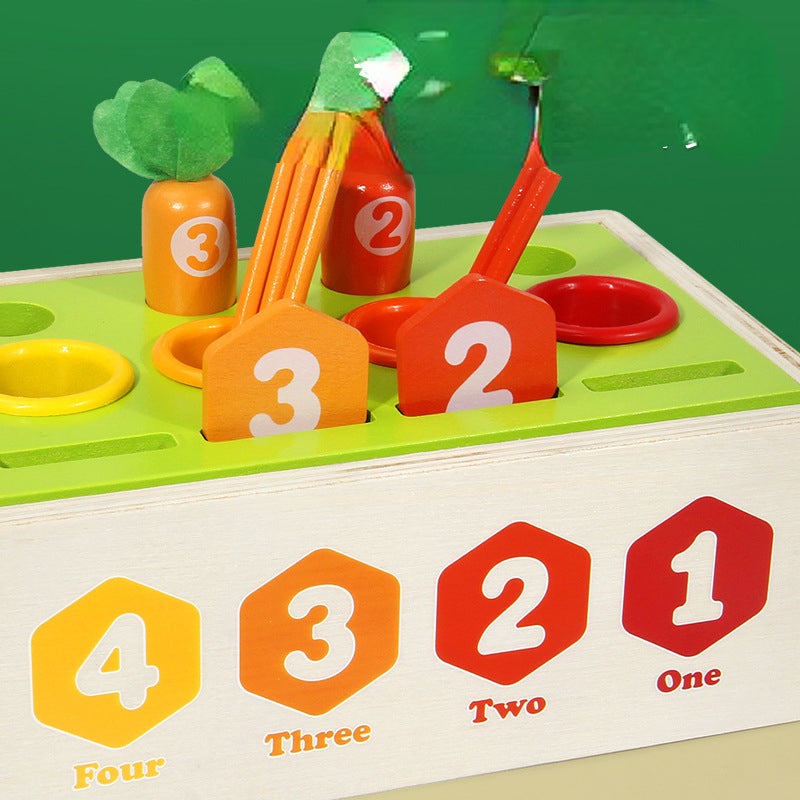 Wooden Coin Box Montessori Toys Educational Fine Motor Skills 3