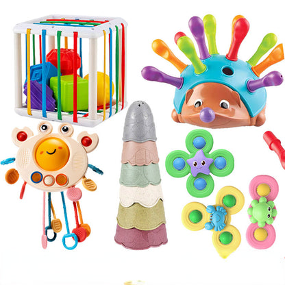 Plastic Sorter Montessori Toys Educational Fine Motor Skills 3