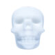Variation picture for Skull White