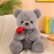 Variation picture for Grey Rose Bear