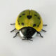 Induction Ladybugのバリエーション絵