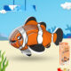 Variation picture for Clownfish