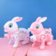 Variation picture for Electric rope rabbit random 1 pc