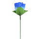 Variation picture for Blue Rose