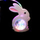 Variation picture for Rabbit Starball Lantern